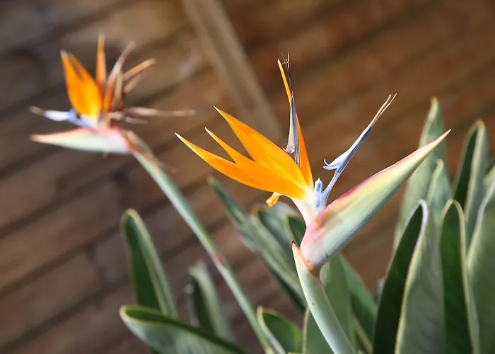 Апартаменты Quinta Lagarca 57 *