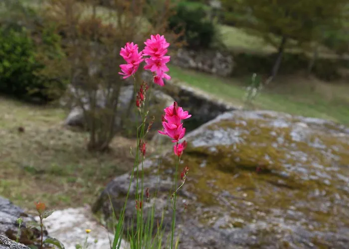 Quinta Lagarca 57 Lagares da Beira