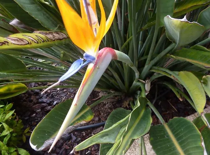 Quinta Lagarca 57 Lagares da Beira