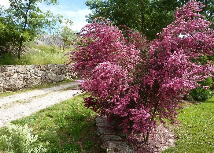 Апартаменты Quinta Lagarca 57