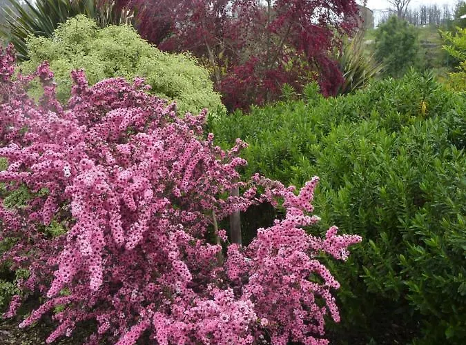 Quinta Lagarca 57 Апартаменты