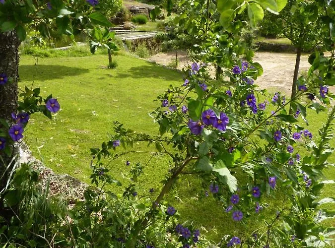 Quinta Lagarca 57 Апартаменты *